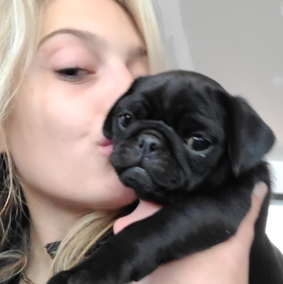 Meet your Posher, Makayla - Picture 1 of 1